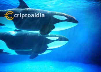 «Alerta de Cripto-Ballenas: Tres Altcoins Atraen Movimientos Masivos»