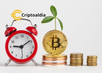 «¡Bitcoin Cash en Auge! Anticipa su ‘Hard Fork’: La Actualización Que Promete Revolucionar la Blockchain»
