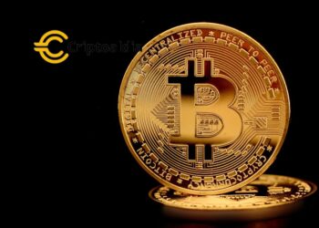 «Orden en el Caos: El Plan de Erik Aronesty para Poner Freno a las Transacciones con Ordinals en Bitcoin»