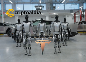 La Nueva Era de la Robótica: Los Tesla Bots Ahora Caminan y Reconocen Objetos por Sí Mismos