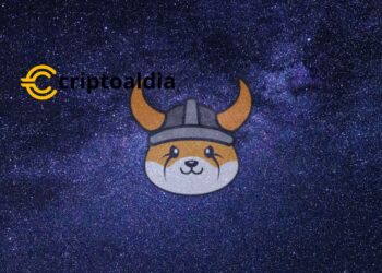 «Floki, la moneda meme, gana terreno: Anuncia alianza estratégica con Binance Pay»