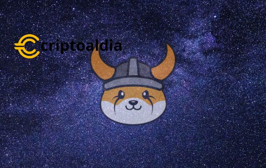 «Floki, la moneda meme, gana terreno: Anuncia alianza estratégica con Binance Pay»