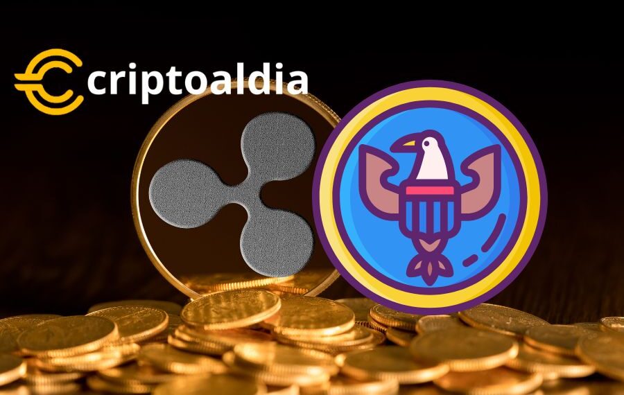 Aaron Kaplan respalda a la SEC en la demanda contra Ripple: ¿Es esta la tendencia de la regulación de criptomonedas?