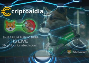 «Desarrollador full stack experimentado y líder de desarrollo/CEO/CTO. Respalda a Shibarium: Destaca los Desafíos y Despunta el FUD alrededor del Proyecto Blockchain de Capa 2»