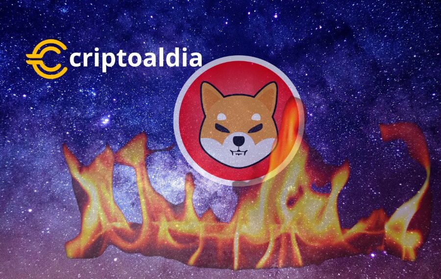 Shibburn: Suspensión en Twitter Desata Polémica en la Comunidad Cripto