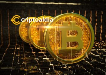BCH y BSV: Las Bifurcaciones de Bitcoin Al Alza Mientras Inversores Buscan Refugio Seguro en el Volátil Mercado de las Criptomonedas