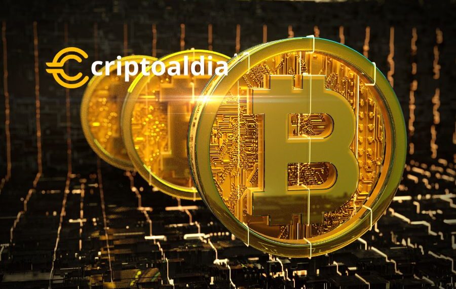 BCH y BSV: Las Bifurcaciones de Bitcoin Al Alza Mientras Inversores Buscan Refugio Seguro en el Volátil Mercado de las Criptomonedas