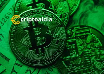 «Bitcoin Cash Sorprende: Crece un 115% en la Última Semana de Junio»