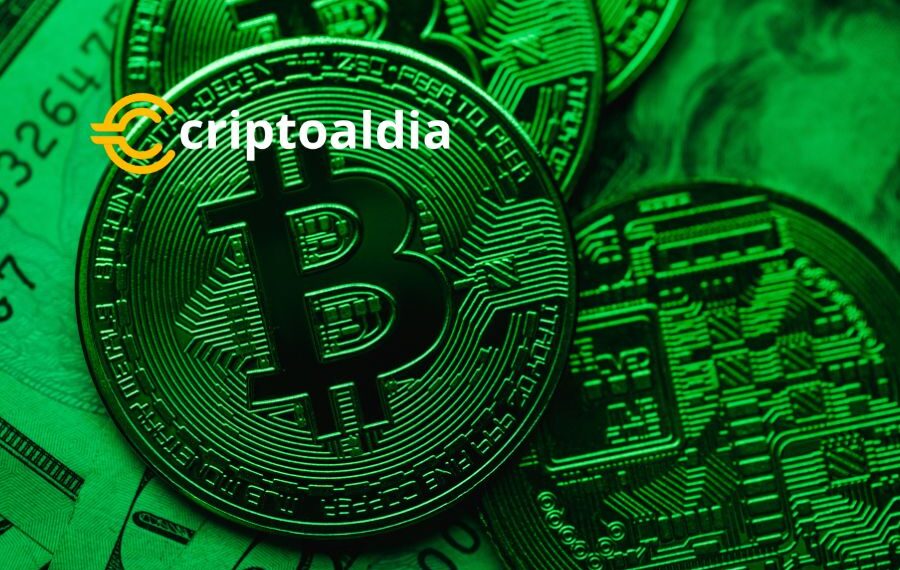 «Bitcoin Cash Sorprende: Crece un 115% en la Última Semana de Junio»