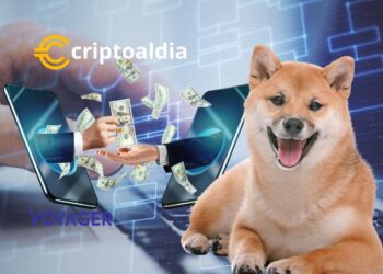 Misterio en el mercado de criptomonedas: Billones de tokens Shiba Inu transferidos desde billetera de Voyager en quiebra