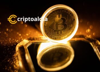 «Imperio Bitcoin: Alcanza el 58% de Participación en el Mercado de Criptomonedas»