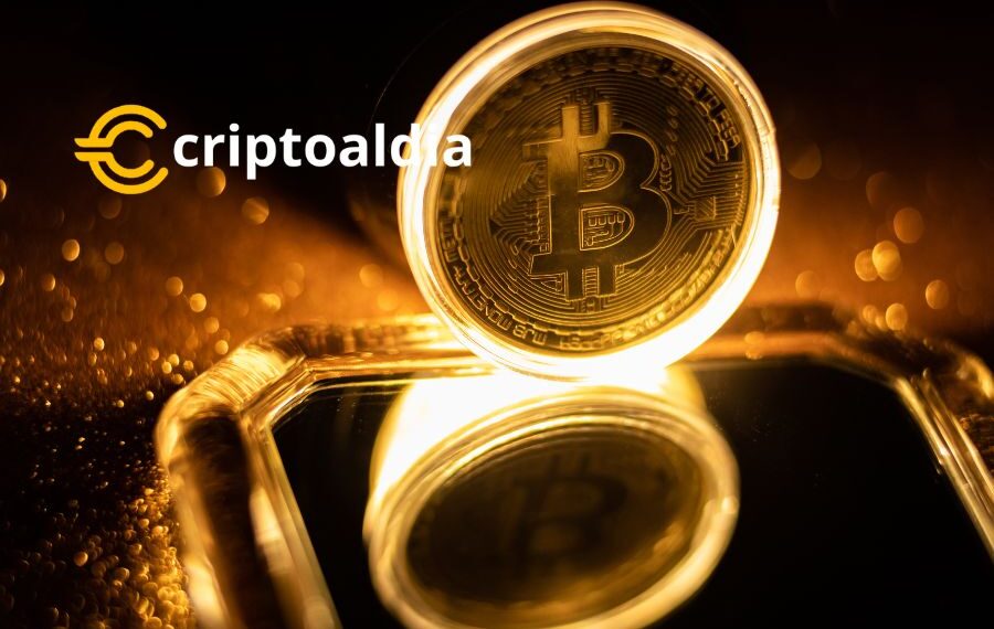 «Imperio Bitcoin: Alcanza el 58% de Participación en el Mercado de Criptomonedas»