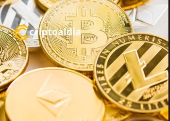 «Nuevo Capítulo en la Saga de Celsius Network: Tribunal de Bancarrota Aprueba Conversión de Altcoins a Bitcoin y Ethereum»