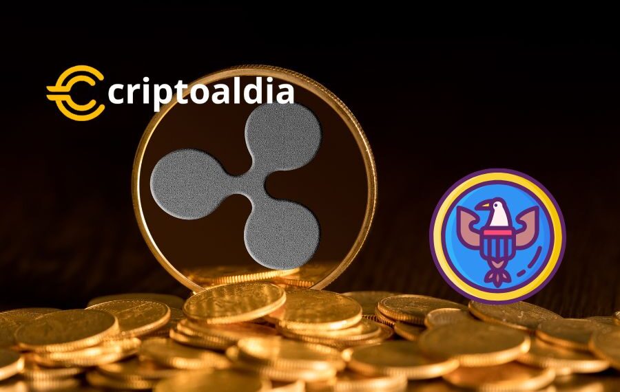 «Experto Legal Bill Morgan Cuestiona a la SEC: ¿Falta de Claridad Regulatoria para Criptoactivos como XRP y DASH?»