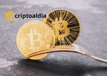 «Retiros de Bitcoin Cash en Pausa: ¿Continuará Binance.US Superando las Tormentas de Confianza?»