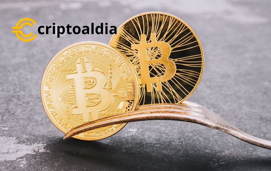 «Retiros de Bitcoin Cash en Pausa: ¿Continuará Binance.US Superando las Tormentas de Confianza?»