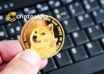 «Elon Musk en Guerra Legal: ¿Se Utiliza la Fortuna de Tesla para Intimidar a los Demandantes de Dogecoin?»