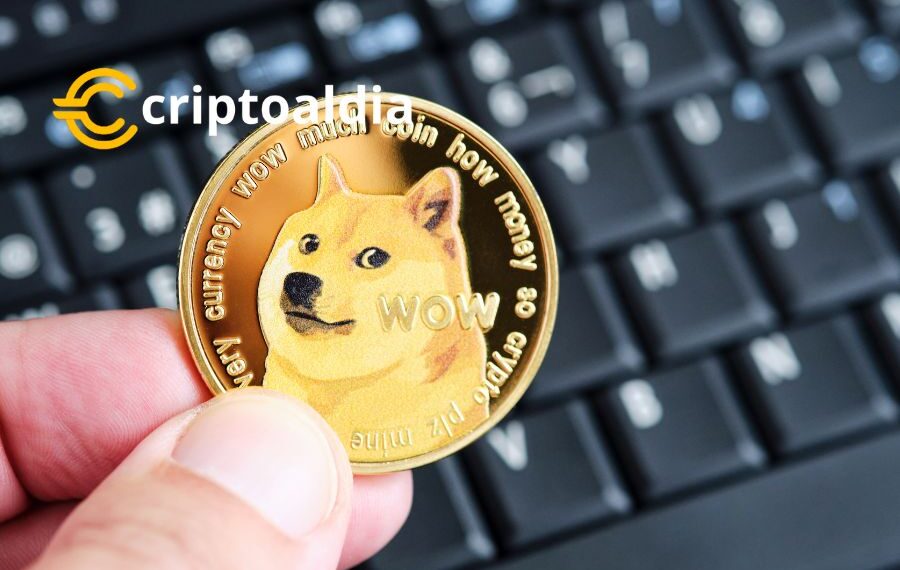 «Elon Musk en Guerra Legal: ¿Se Utiliza la Fortuna de Tesla para Intimidar a los Demandantes de Dogecoin?»