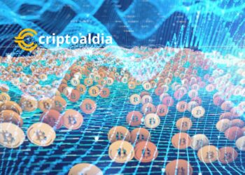 El Renacimiento de las Altcoins: Un Análisis del Aumento de la Capitalización de Mercado