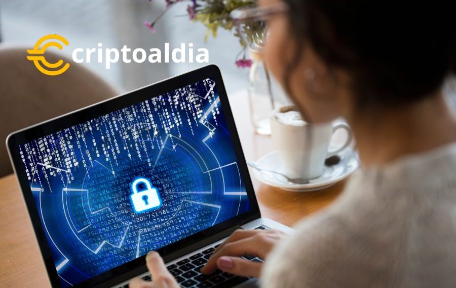 El declive de las estafas criptográficas: un análisis