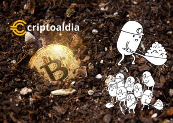 El Halving de Bitcoin de 2024 Pone en Alerta a los Mineros Según JP Morgan»