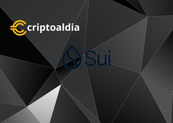 «Auge On-Chain en Sui Network: ¿Se Debe a Bloques de Transacciones Aumentados o a un Incremento Real en las Actividades?»