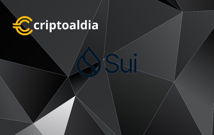 «Auge On-Chain en Sui Network: ¿Se Debe a Bloques de Transacciones Aumentados o a un Incremento Real en las Actividades?»