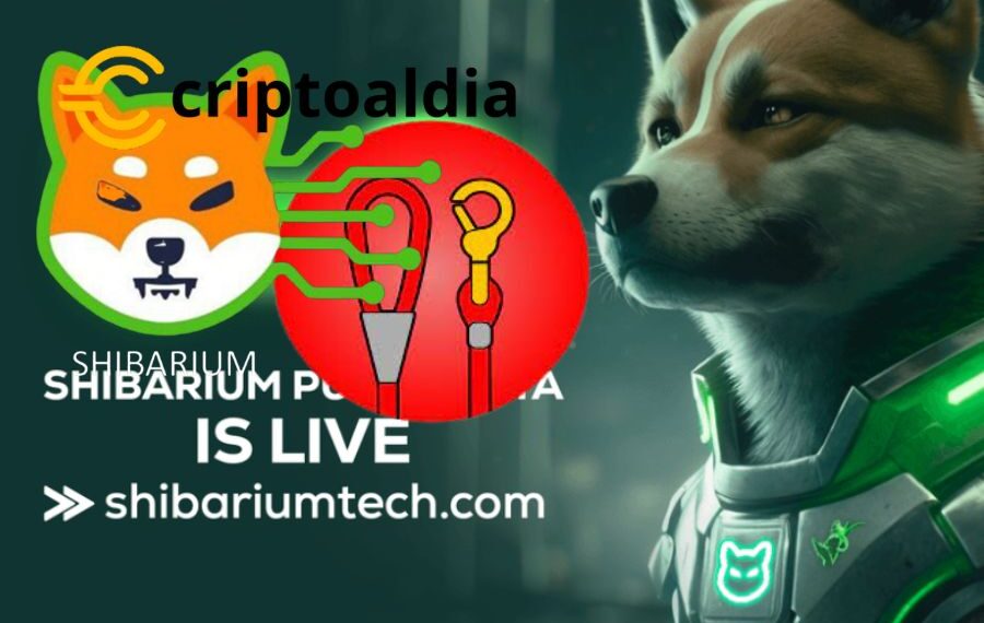 «Propietarios de LEASH, ¡Atentos! Lanzamiento de Shibarium y Nuevas Condiciones para Doge Killer (LEASH)