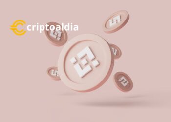 «El Futuro del BNB de Binance a Pesar de la Quema: Perspectivas y Desafíos»