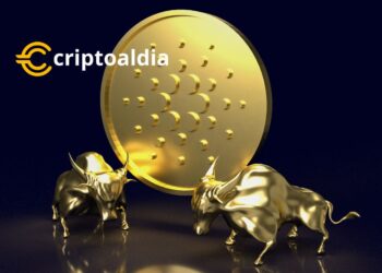 El Futuro Brillante de Cardano: Mithril Prepara Lanzamiento Beta y Mejoras en la Infraestructura de la Red Principal»