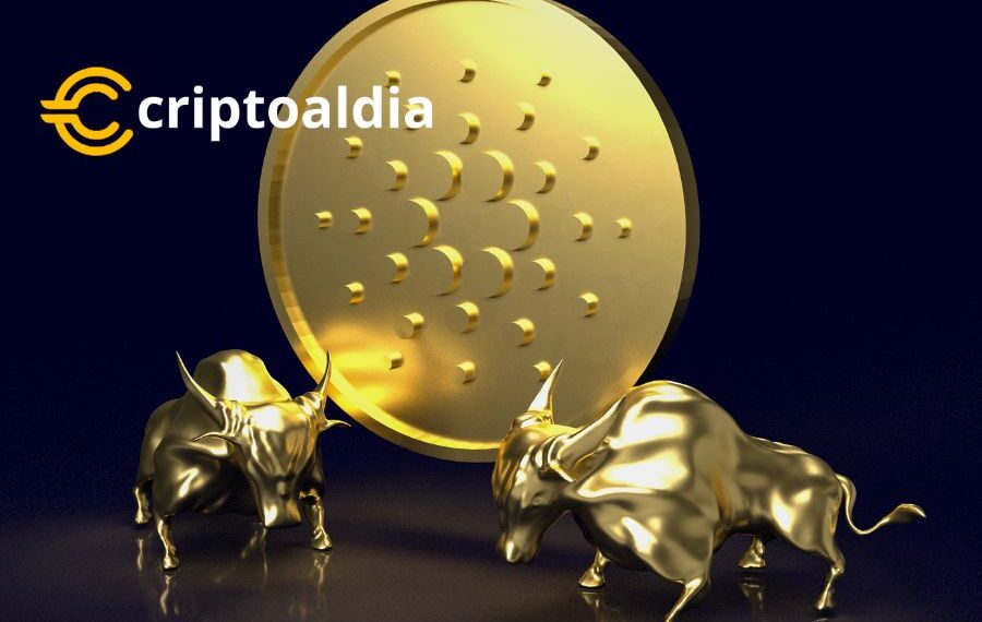 El Futuro Brillante de Cardano: Mithril Prepara Lanzamiento Beta y Mejoras en la Infraestructura de la Red Principal»