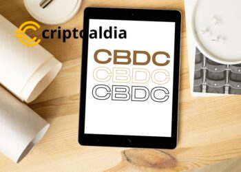 «Descentralización y Blockchain: Finch Advierte Contra la Trivialización de la Moneda Digital