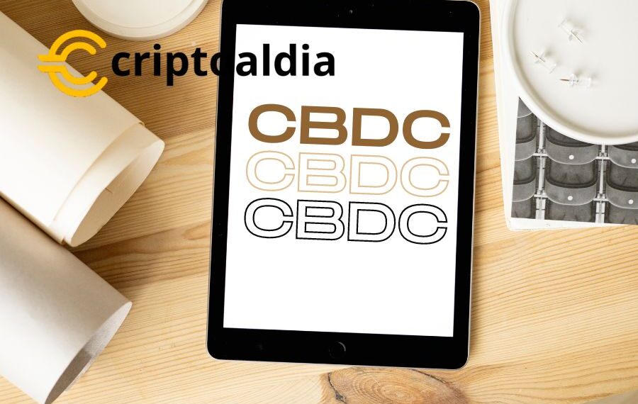 «Descentralización y Blockchain: Finch Advierte Contra la Trivialización de la Moneda Digital