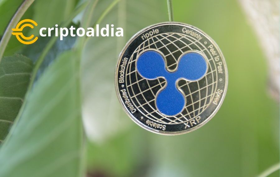 «Ascenso Sostenido: Las Ventas de XRP de Ripple Demuestran un Incremento del 37% Año tras Año»