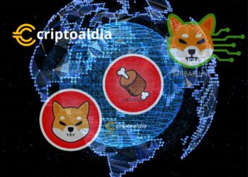 «Shibarium Salida Inminente: Se acuñará y renunciará al contrato de BONE: ¿Estamos realmente comprendiendo la descentralización?»