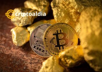 Ascenso Meteórico y Caída Previsible de Bitcoin Gold: Un Estudio de Caso en la Volatilidad Criptográfica