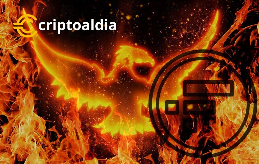 FTX Revive de las Cenizas: Planea Relanzamiento Audaz tras Bancarrota y Ofrece Oportunidades a Antiguos Clientes»