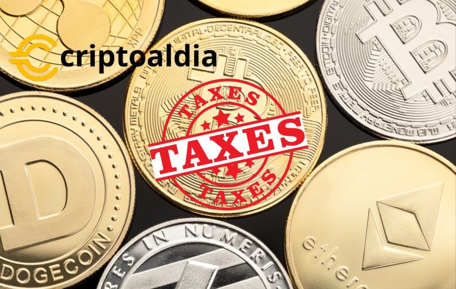 Elizabeth Warren y Senadores Piden al IRS Reglas Fiscales Más Estrictas para Brókeres de Criptomonedas»