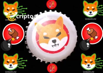 «El Futuro de Shiba Inu Pasa por Shibarium: La Layer, 2 Ofrece Transacciones Rápidas y Económicas»