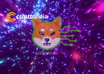 «El Emocionante Camino por Delante de Shiba Inu: Cómo la Actualización de Capa 2 Shibarium Podría Revolucionar el Ecosistema de SHIB y Potenciar su Valor»
