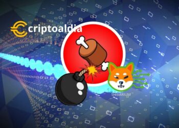 «Preparativos de Shibarium en Marcha: Transacciones de 10400 BONE Detectadas en Seis Wallets Etiquetadas como Validadores Preparativos para el Evento Blockchain Futurist»