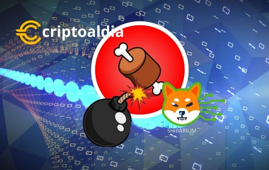 «Preparativos de Shibarium en Marcha: Transacciones de 10400 BONE Detectadas en Seis Wallets Etiquetadas como Validadores Preparativos para el Evento Blockchain Futurist»