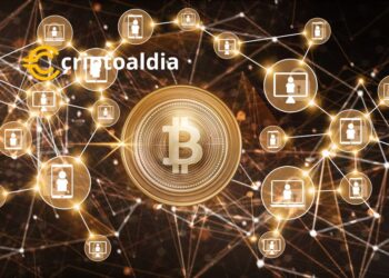 «Bitcoin Alcanza un Nuevo Hito: Concentración de Riqueza e Incremento en Propietarios de Criptomoneda Revela Confianza en Futuro Aumento de Precio»