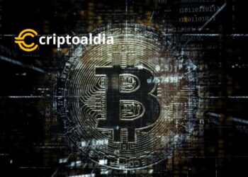 «Ventana de Seis Meses para la Aprobación de Bitcoin ETF Según Novogratz: Un Paso Potencial hacia la Inversión Institucional en Criptomonedas»