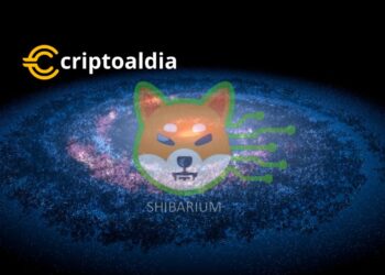 «Shibarium: Un Salto Evolutivo en Shiba Inu con Posibles Cambios Transformadores, Pero Rodeado de Misterio y Preocupación»