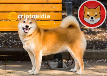 «Shiba Inu (SHIB) Desafía el Letargo de Bitcoin con un Crecimiento Impresionante: Interés en Futuros Superando los $40 Millones