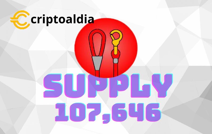 «Shytoshi Kusama Aviva el Mercado con un Tweet: Nuevo Uso para LEASH Dispara la Expectación y Eleva el Precio un 5,7% en 24 Horas»