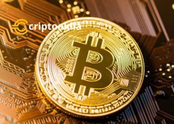 «Los ETF de Bitcoin Podrían Capturar el 10% del Mercado en 3 Años, Sugiere Informe de Sanford C. Bernstein»