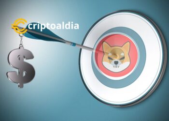 «Firma de Inversión Alpha Transform Holdings Asesora a SHIB Doggy DAO: Un Puente Entre Finanzas Tradicionales y Criptomonedas»