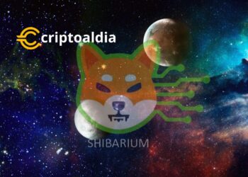 Increible, mas de 250 proyectos estan construyendo en Shibarium
